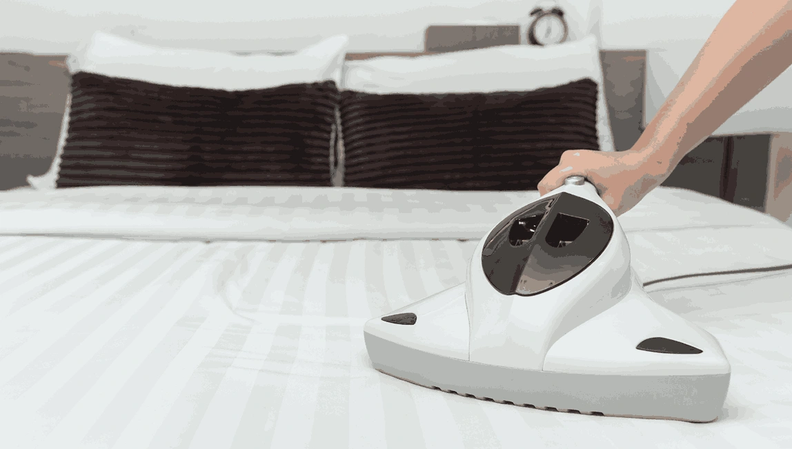 Professional Mattress Cleaning Research